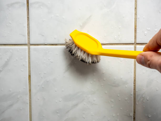Best Commercial Mold Remediation in Lockeford, CA